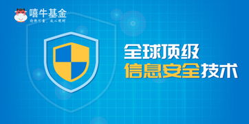 雙重監(jiān)管筑牢安全基石 嘻牛基金在湖南信息系統(tǒng)中的實(shí)踐與啟示